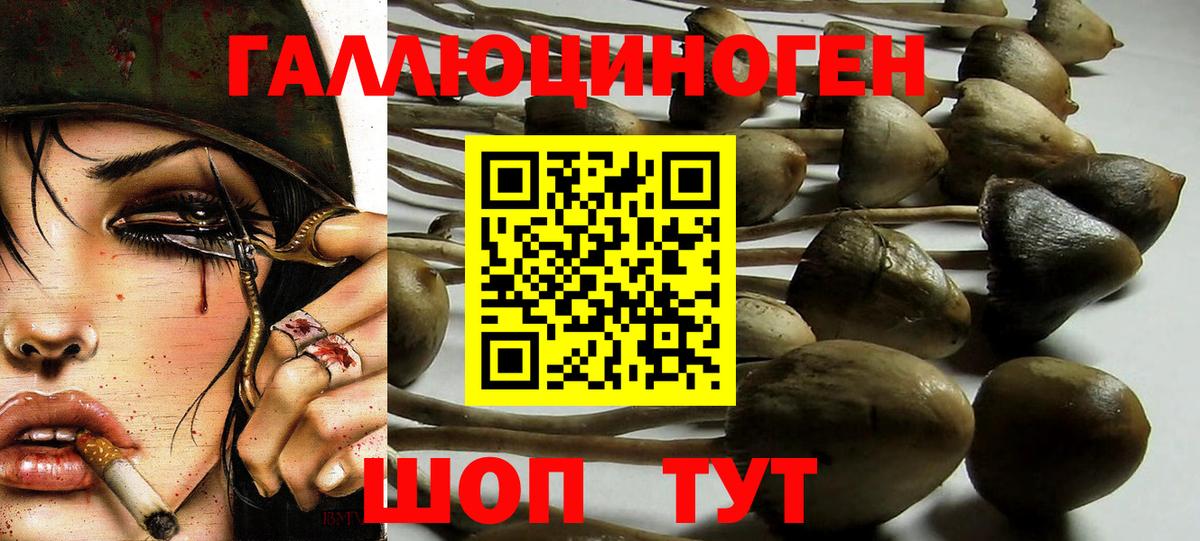 Галлюциногенные грибы ЛСД  Вход с VPN  закладка  Камышлов 
