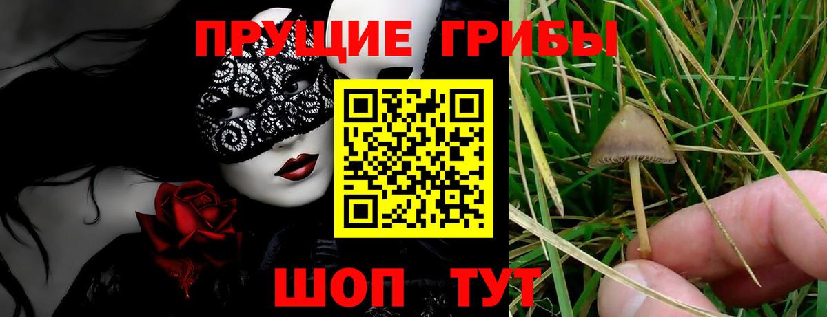 Галлюциногенные грибы MAGIC MUSHROOMS Камышлов